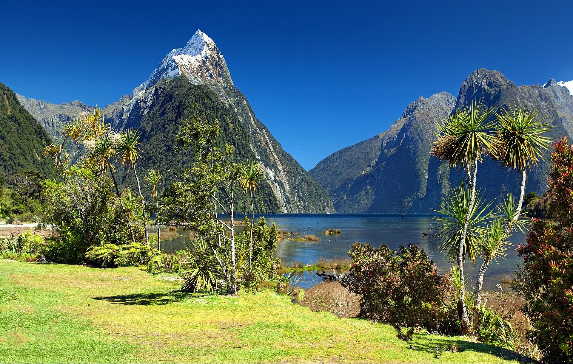 Travel Guide NZ